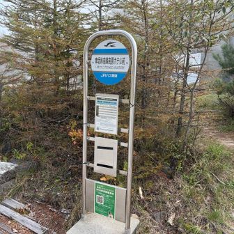 🚌停横が登山口