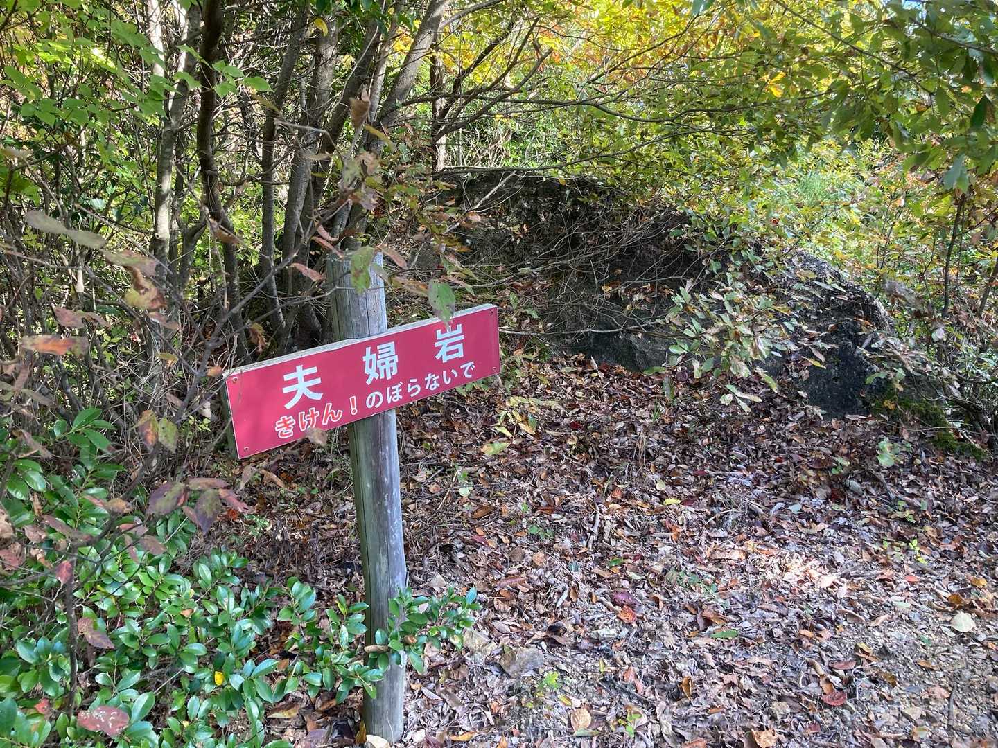日撫山 往復コースの写真