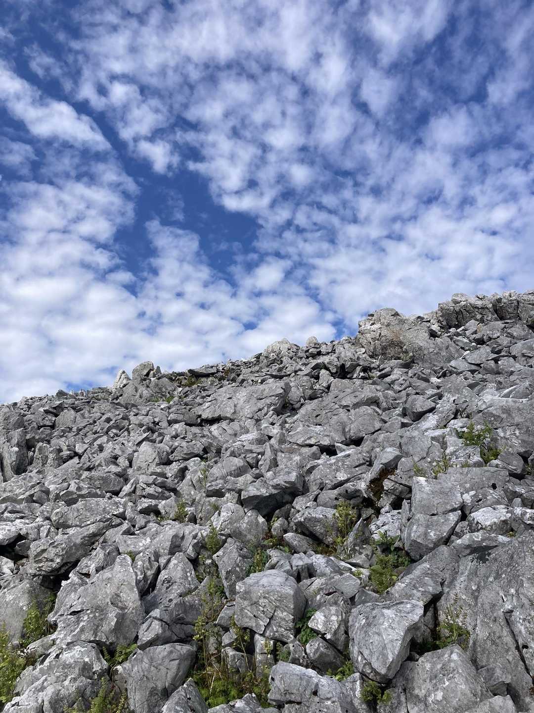 このコントラストなかなか気に入りました
