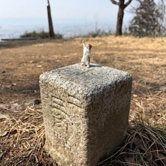 三角点ゲットです👍