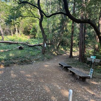 ぐみの木峠