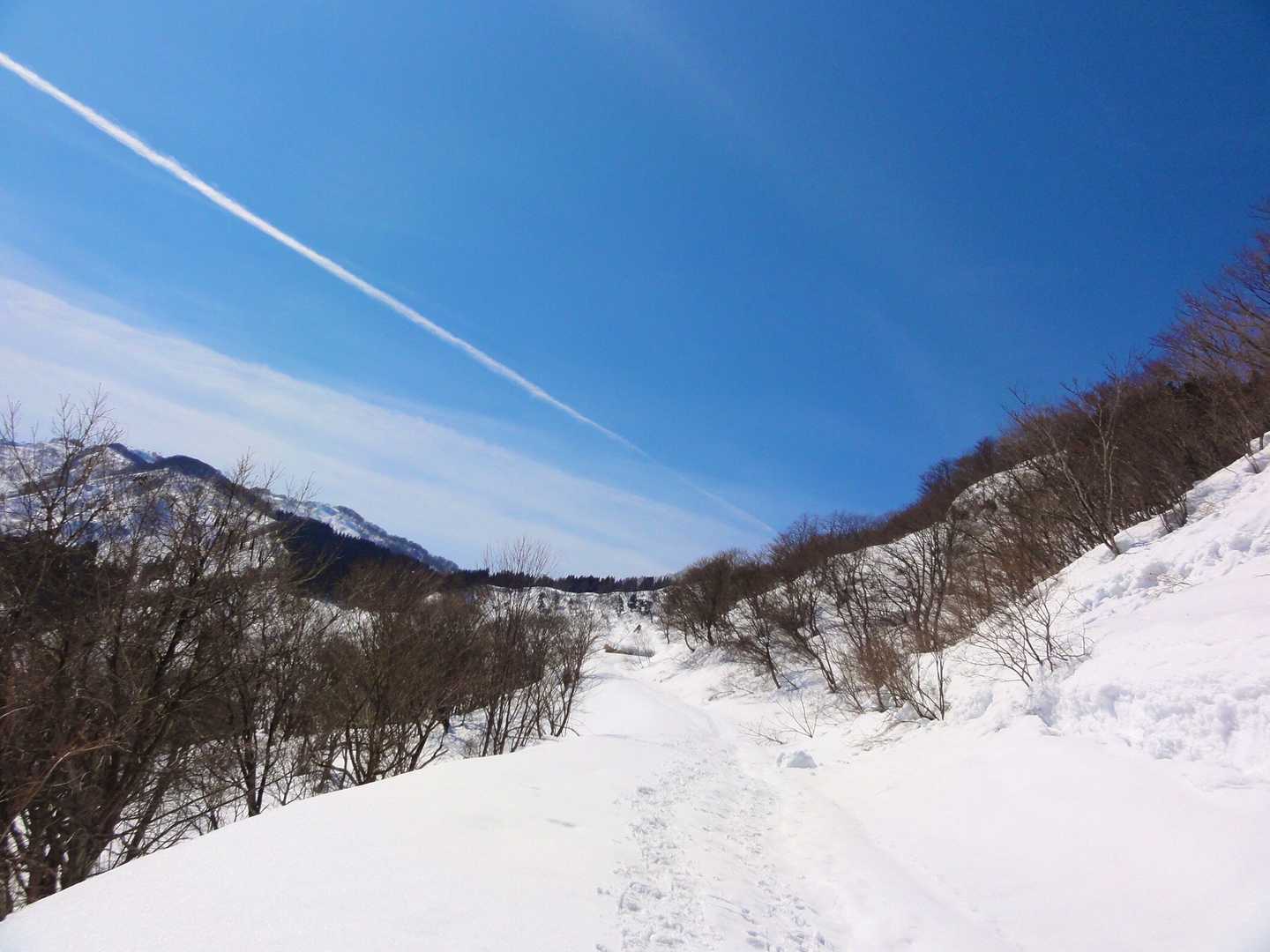 青空さんさん、林道てくてく。