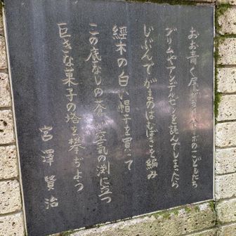 宮沢賢治の故郷なので