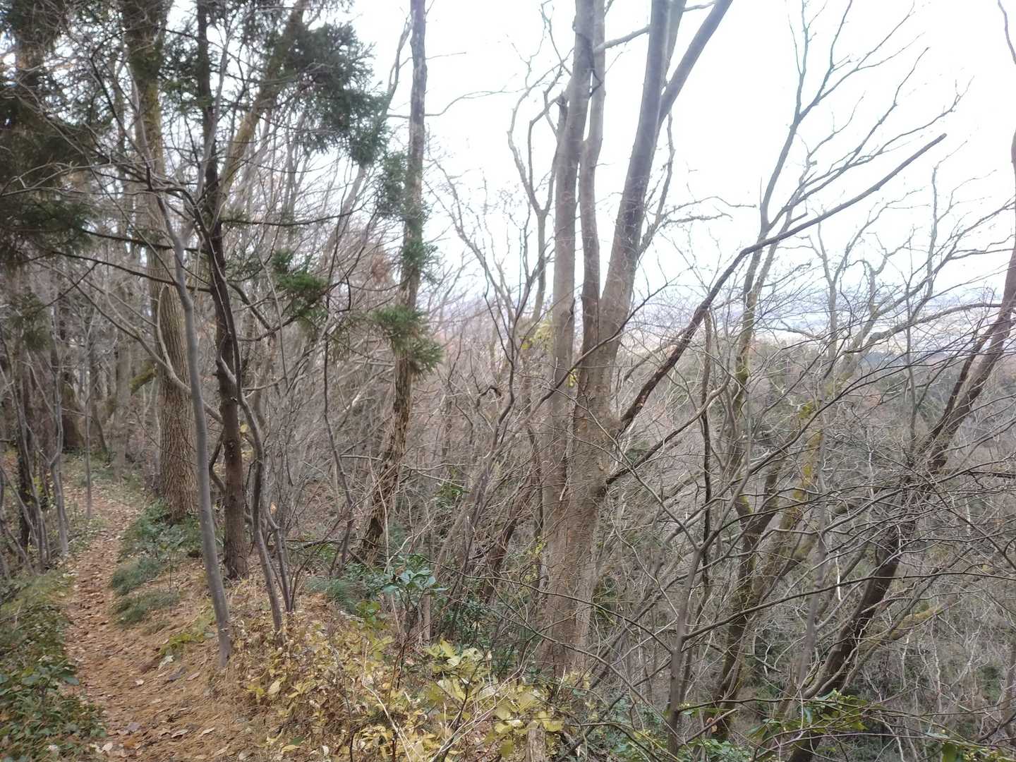 登山道は整備されてる
