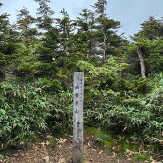 山頂〜