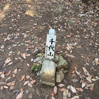 千代山(五月山)