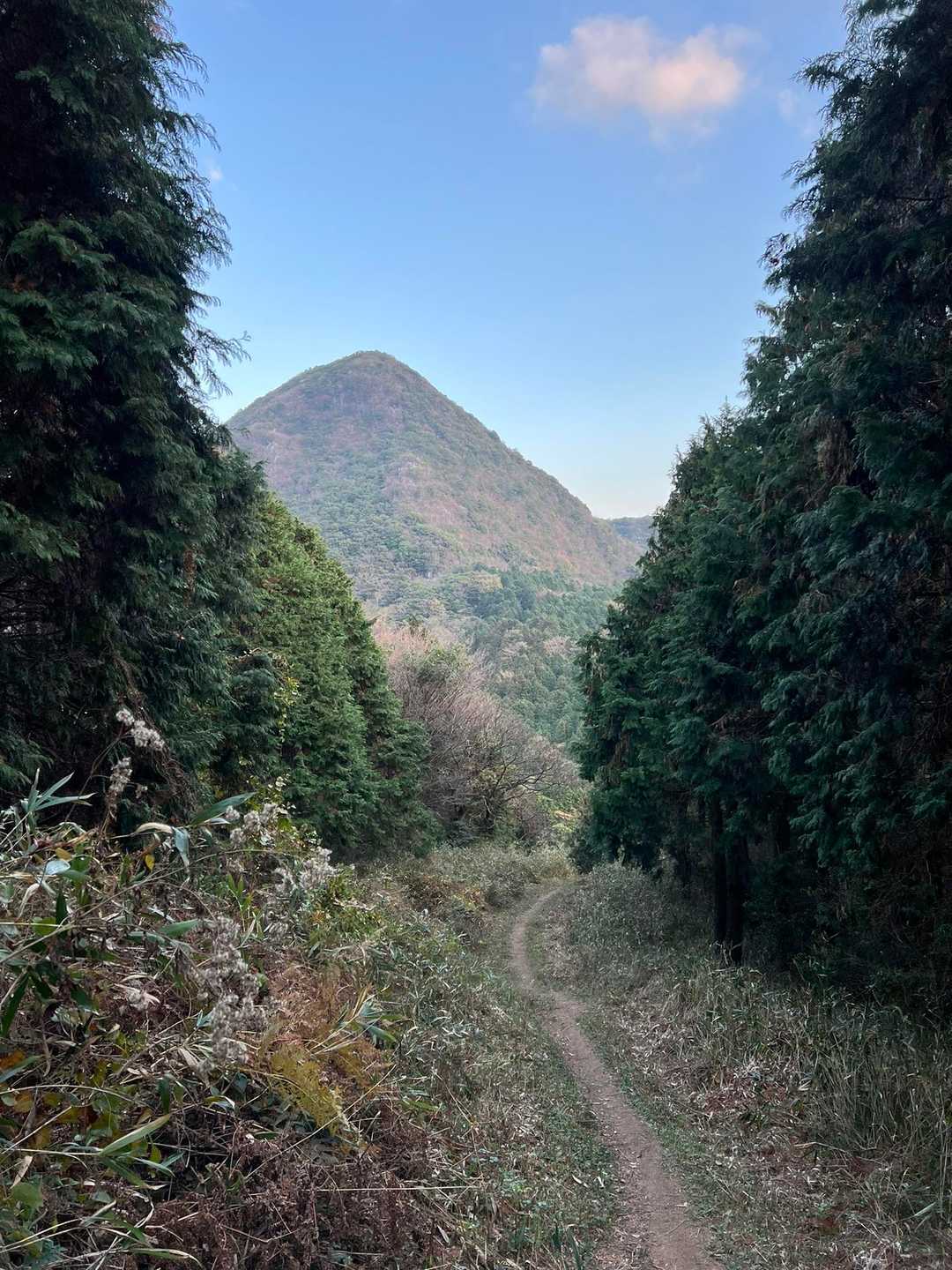 無事戻ってきた
香春岳が見守ってくれてた

ありがと😊