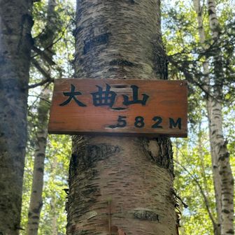 3ピーク目『大曲山』
途中、塩谷方面から縦走する人いて、お互い驚く。