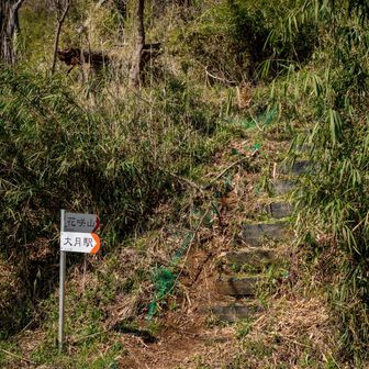 最後は花咲山まで行って終了ですが。。