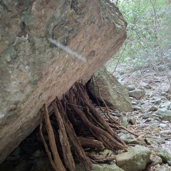 自分も人に支えられて、生きてます
人に感謝、山に感謝