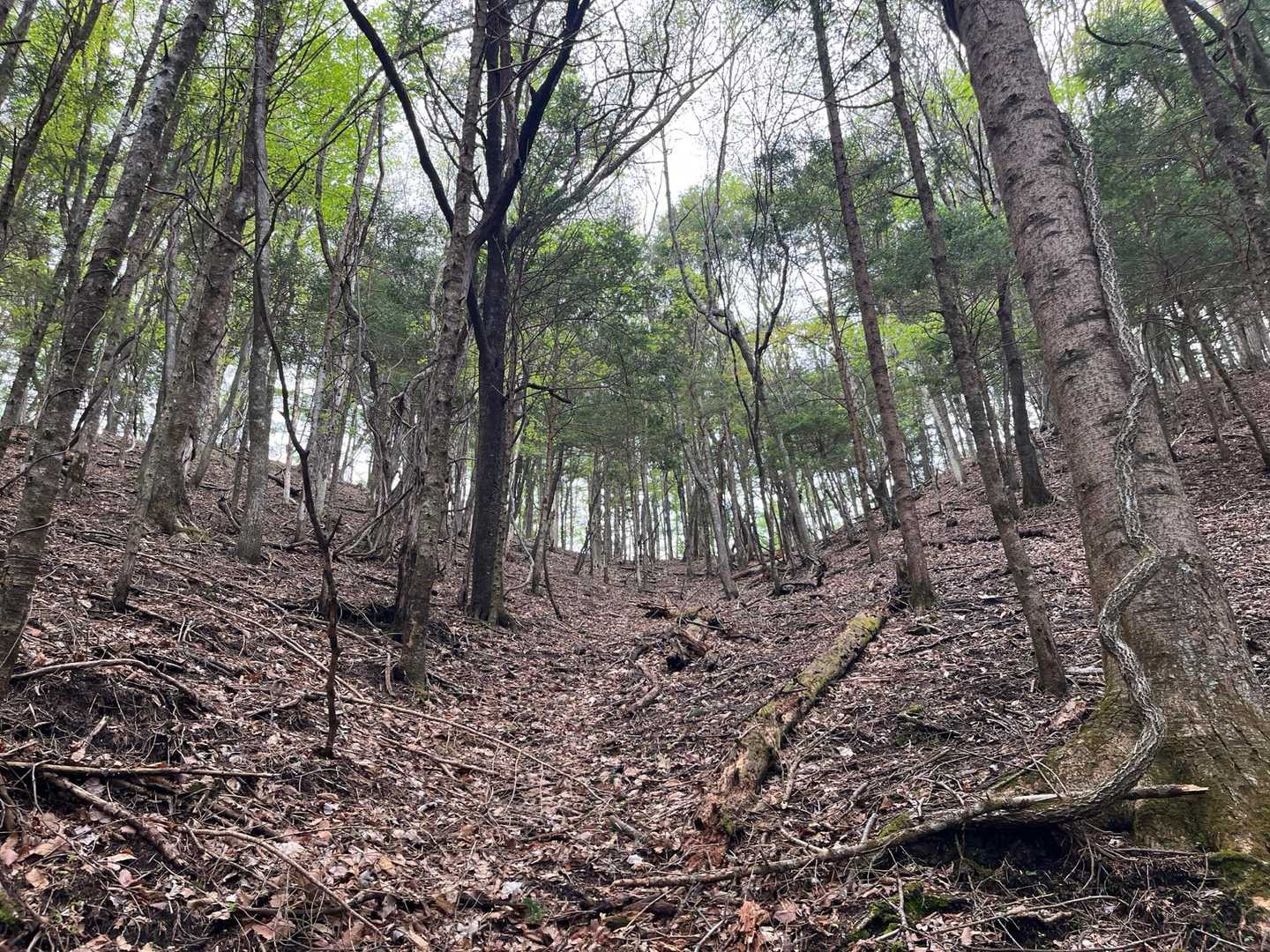 和久土也山 往復コースの写真