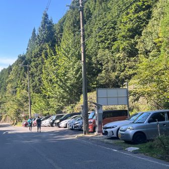 車がだいぶ減ってる