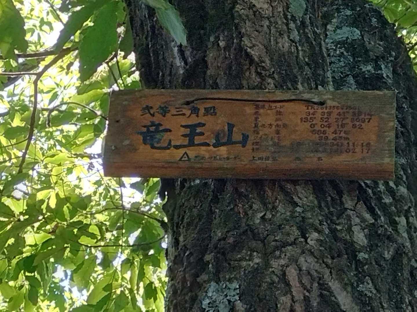 龍王山 周回コースの写真