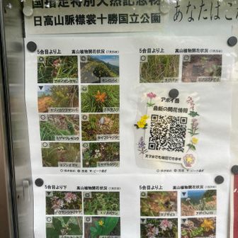 この写真が今日のミッションに大活躍