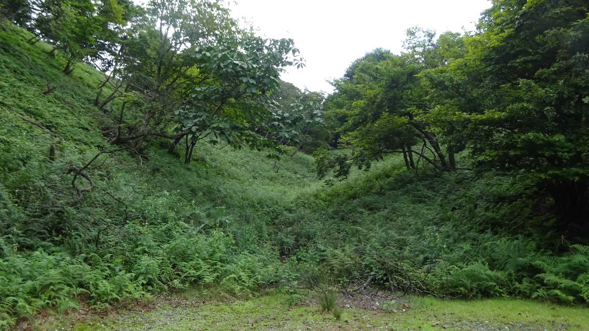 池田山 往復コースの写真