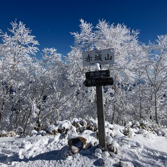 山頂は展望少なめ