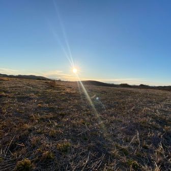 小高く広く整地されている場所があった‼️
後ろを振り向くと鰯山⛰️

きっと私が泊まった時の記憶に残っている東側には鬱蒼とした松林🌲🌲　その一部分は鰯山だったんだね

2日目の朝
チェックアウトした後　併設していた屋内テニス場🎾　で　子ども達は初めてテニスしたんだった💡　
スタート1時間後には小学生の2人　私より上手にラリーしてたな
とか　この場所に立ち　一気に色んな思い出が蘇りました

また　テニス場まで雨の中☔案内して下さった　宿のスタッフさん「今日は平日だし、この後の予約はないから　少し時間が過ぎても大丈夫だからね😉」　と仰って下さったなあ〜

とにかく　かんぽの宿松島🏨　スタッフさん皆さん　優しくて　子ども達にたくさん話しかけて下さって　ホスピタリティー溢れる温かい方ばかりでした♥️

震災の日は　四階に避難して100名以上の方が一晩過ごされ
翌日　ヘリコプターで全員　救助されたと聞きました🚁　あ〜〜良かった〜〜😭と思っていたので　跡地への再訪　して良かったです