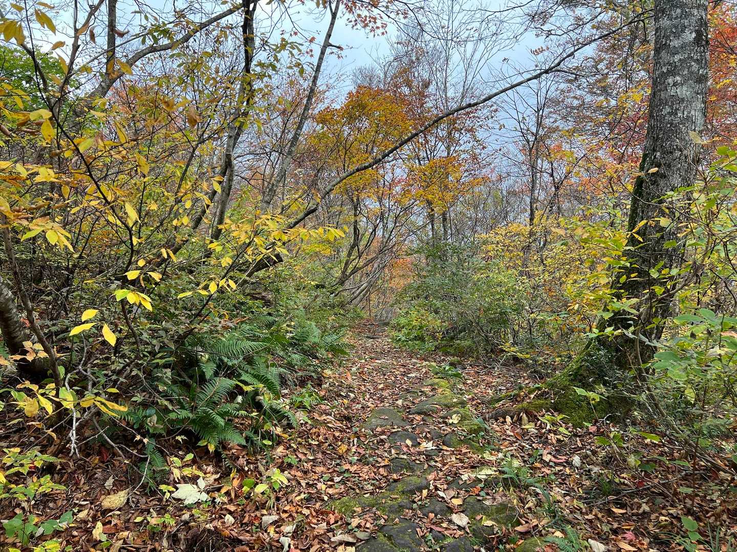 下山します🚶‍♀️