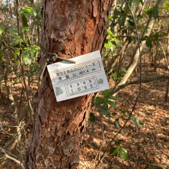 国土地理院の地図と山名が違うみたい