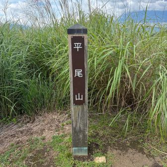 平尾山（ひろおやま・1,290m）
残念ながらここに着いた時には富士山は雲の中でした。先に到着していた外国人３名が富士山が見えるようになるのを待っていたので、大平山で撮影した写真を見せてあげました🗻 見えるまでもう少し待ってみると言っていたけど、もう見えなかっただろうなぁ🥲