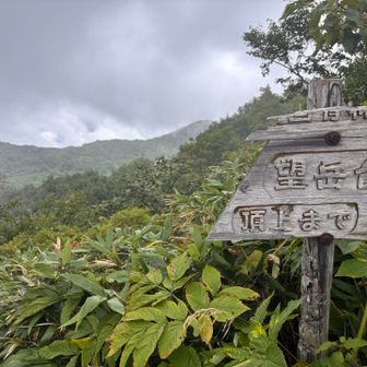 降りてきました