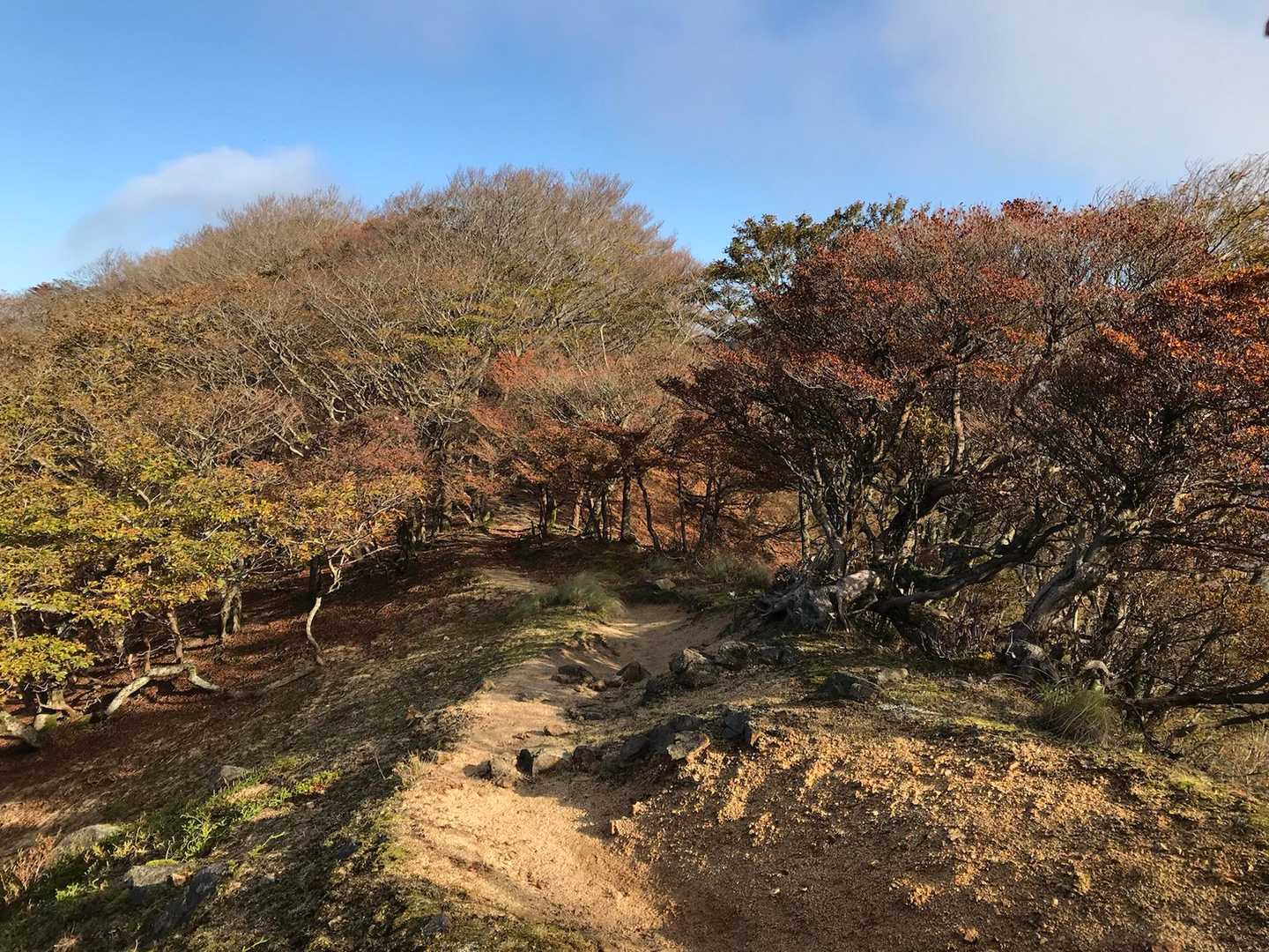 釈迦ヶ岳-猫岳 周回コースの写真