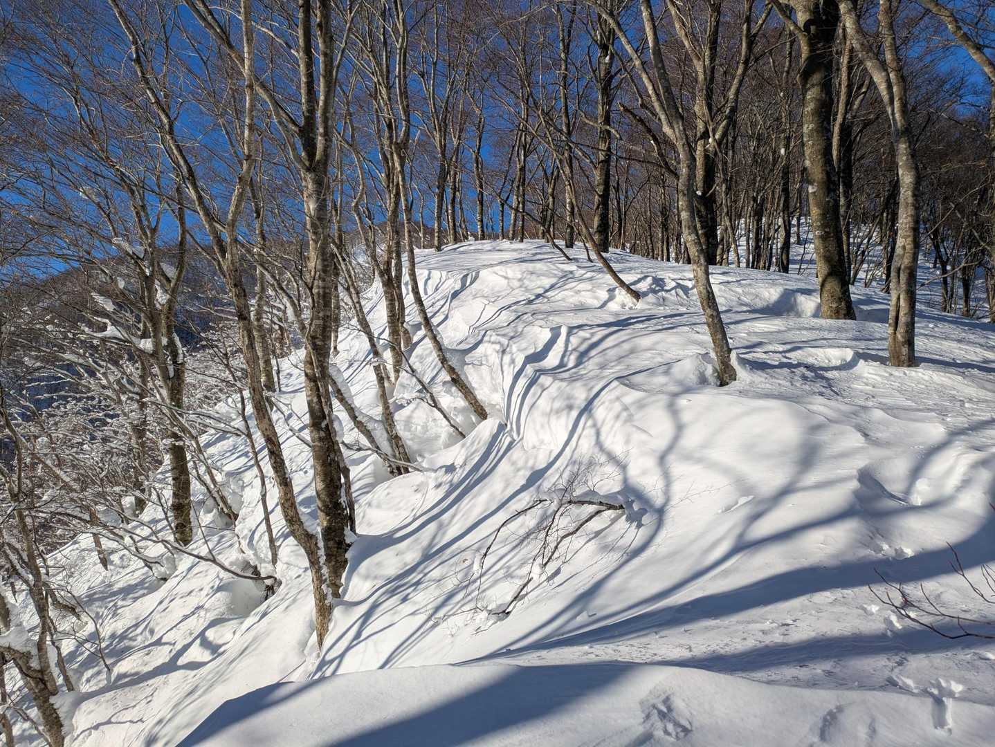 トレース無くなった😵そうなると一気に時間がかかる💦
午後から用事があるので10時までに山頂に立てなければ諦めよう。