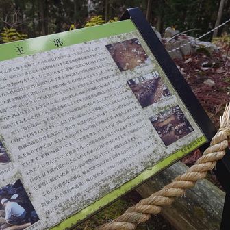 遺構の残存度が悪いけど保存や復元を頑張ってる、って書いてある
やり甲斐のある仕事だ