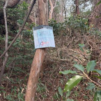 山頂がどこなのか分かりませんでした😓