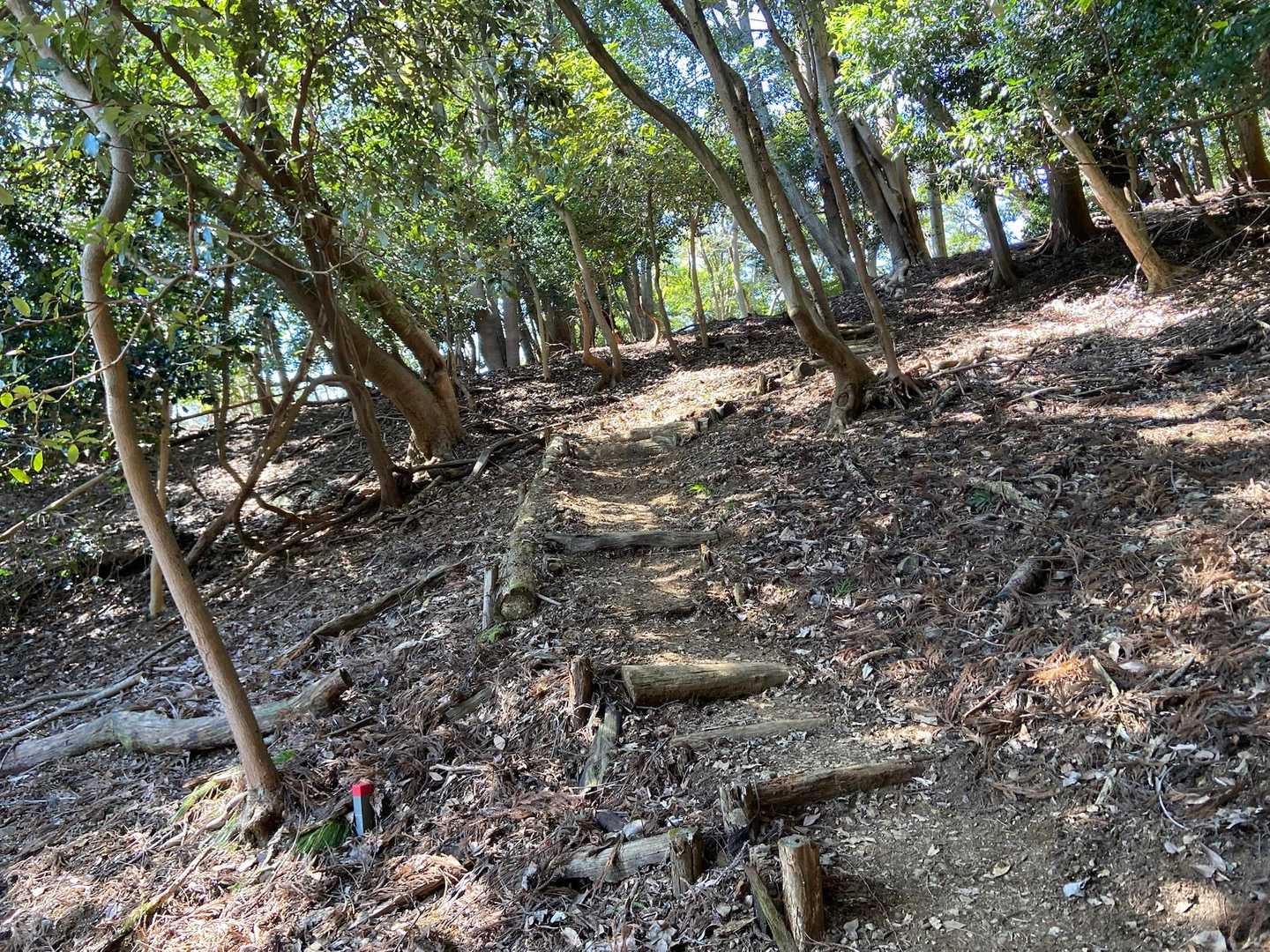 丸山 往復コースの写真