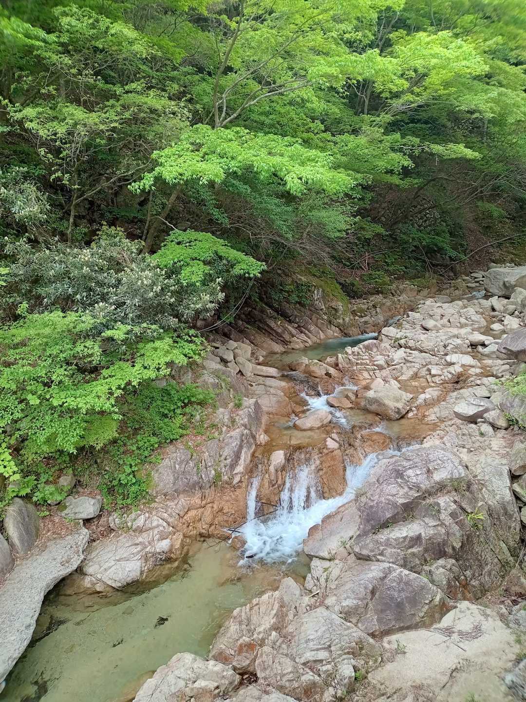 朝明登山口-国見岳-根の平峠 往復コースの写真