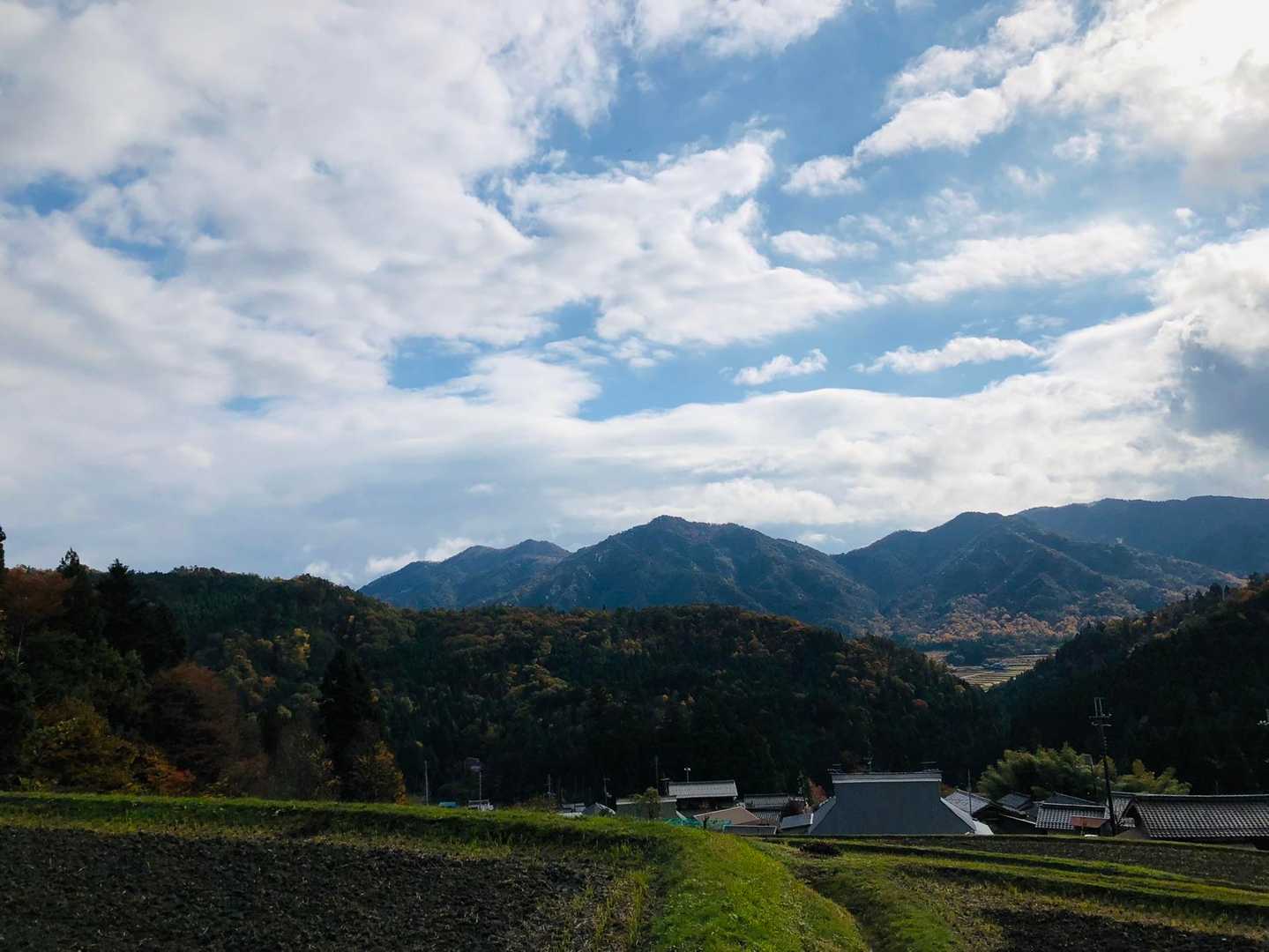 のどかな棚田の風景