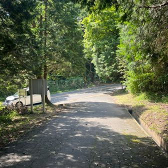 五井山・宮路山・御堂山 何度か道路を横断します