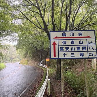 土砂降りの雨