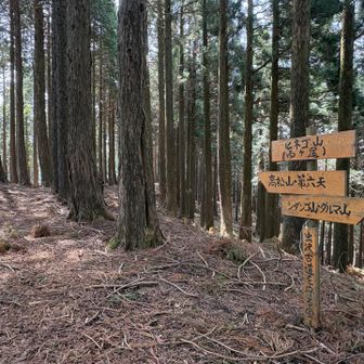 ヒネゴ山（西ヶ尾）（標高 805）  通過
