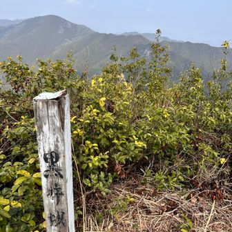 黒井城は見えなかった。。。