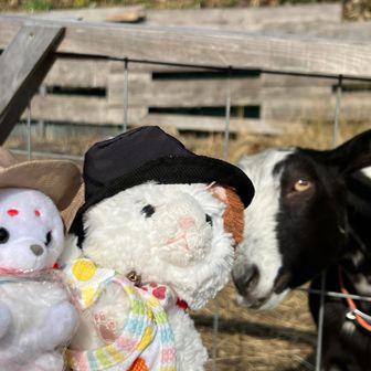 ヤギさんもお出迎えしてくれた！おつかれ山！