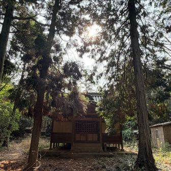 なだらかな尾根を進むと、笠松明現宮⛩️
この左奥が登山道、トレランのお兄さんが駆け抜けて行きました🏃‍♂️‍➡️