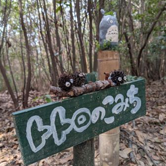 西の峰に向かいます🚶
トトロのこみち　癒されます😊