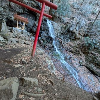 父の白滝らしいです😊