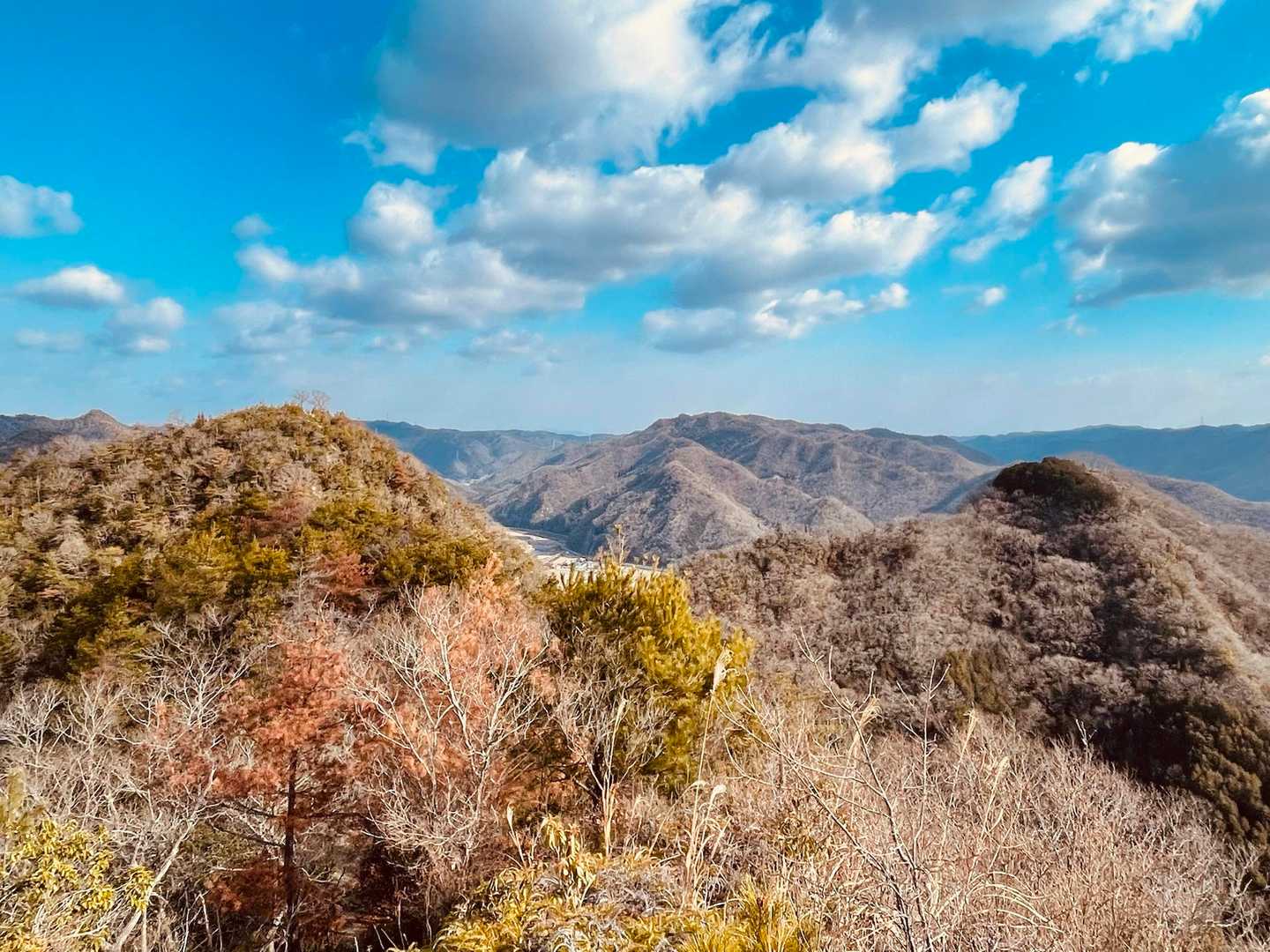 上郡アルプスの中でも一二を争う展望の良さ✨
大鳥山、生駒山方面を望む😁