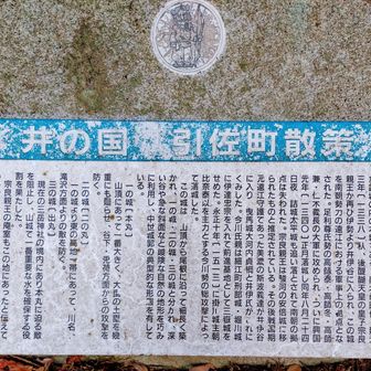 三岳城って三岳山の山頂にあったのかと思ってたけど、これ見るとかなり大きい作りの城だったと思われる🏯