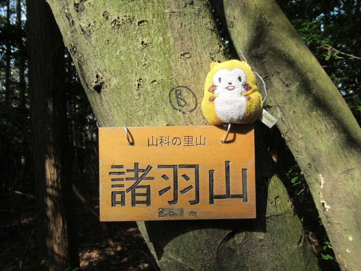 諸羽山の写真
