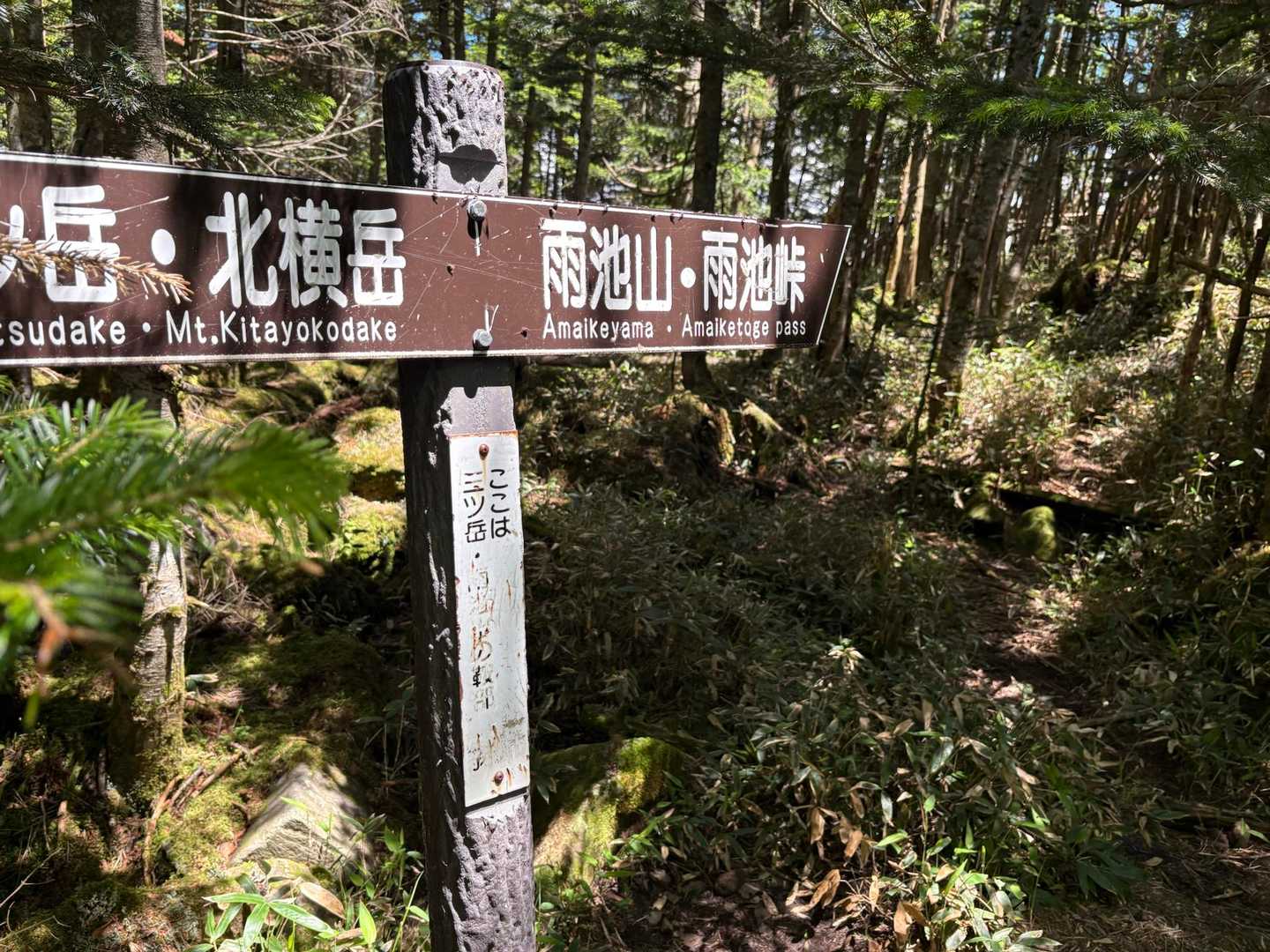 三ツ岳と雨池山との鞍部
ここまで、深い屈伸が必要になる激下り🦵
ここは登りたくない…😵‍💫