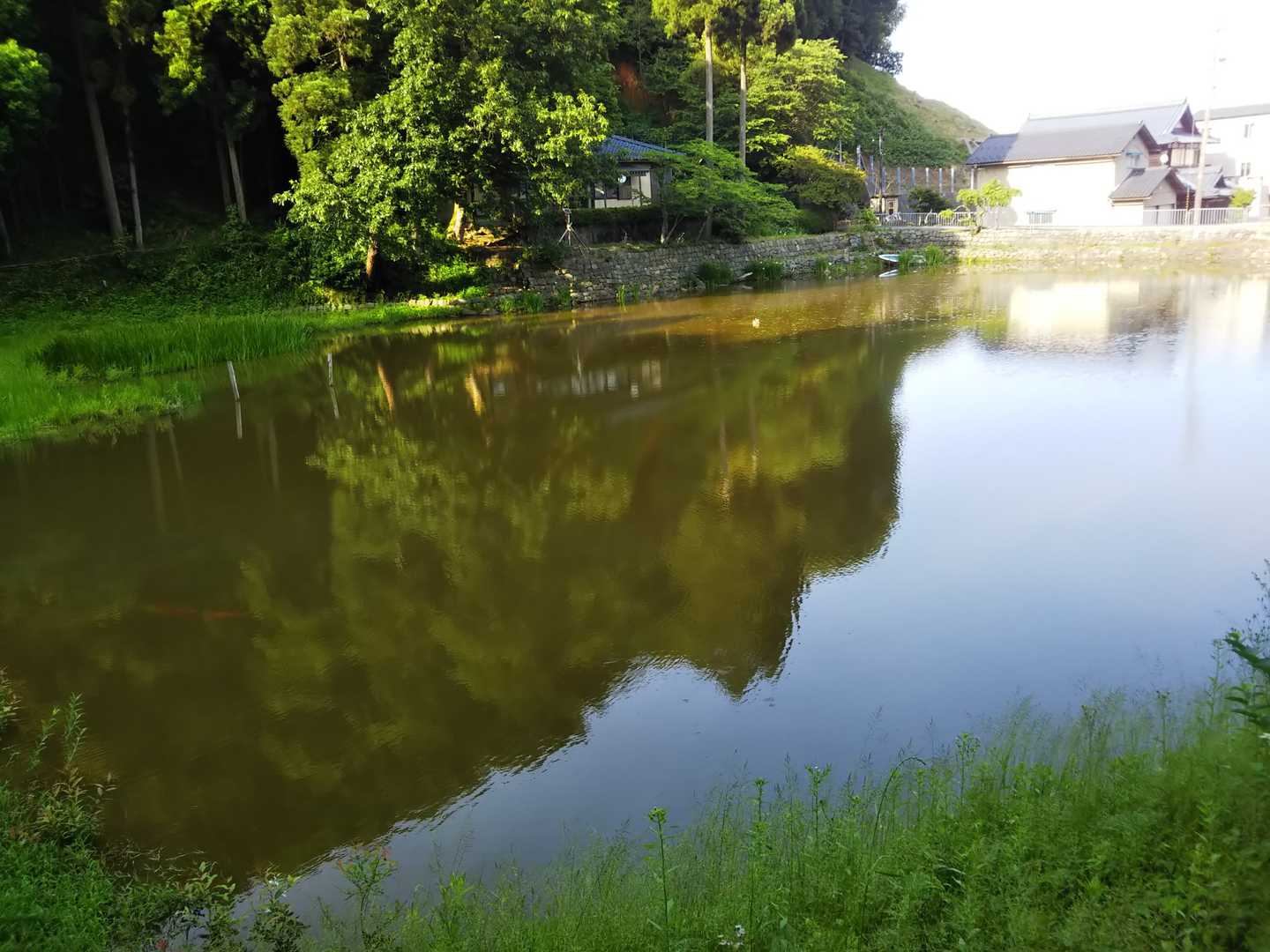 ため池に出た。
