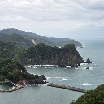 山頂からの景色