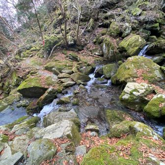 この辺は丸太橋は無いです