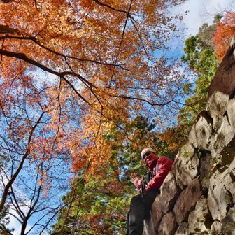 あの人物さえいなければ。