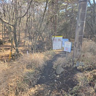 お疲れ山でした