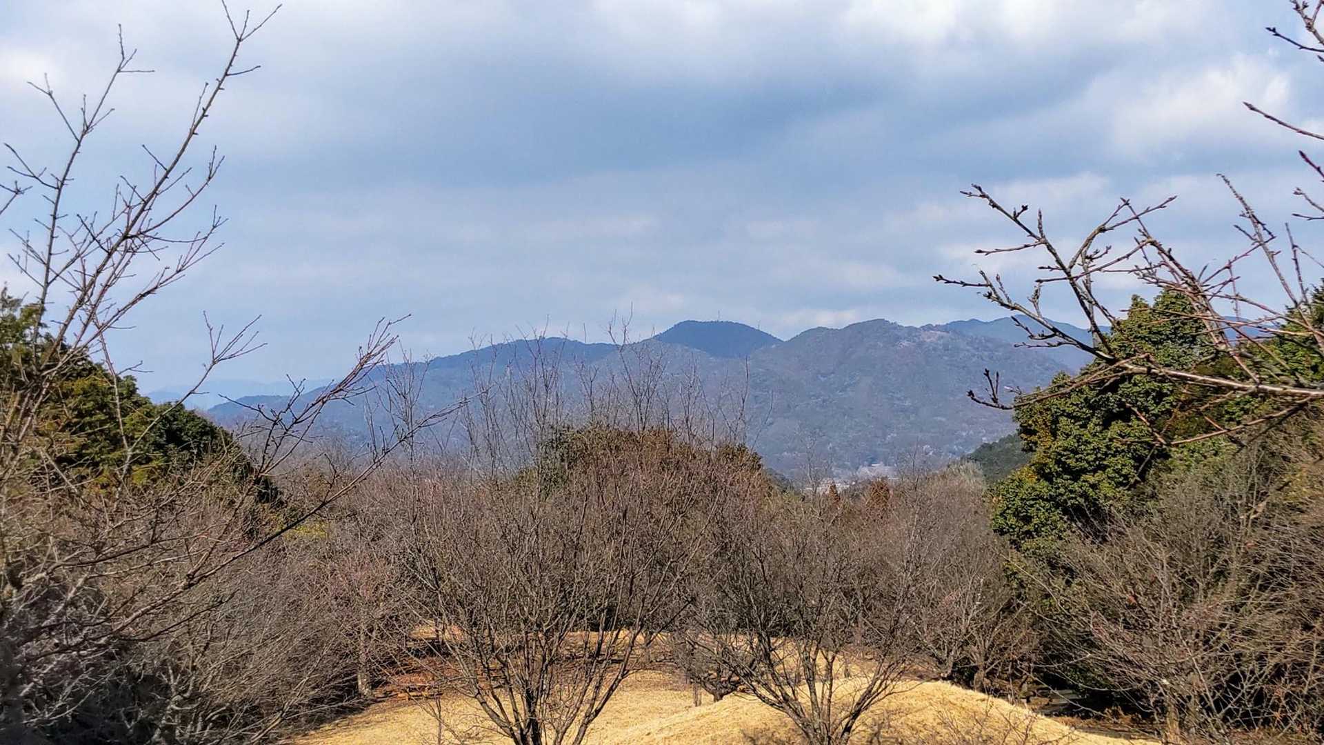 桜、楽しみです🎵
